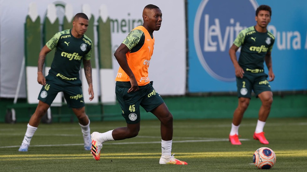 Jogadores trabalharam em dois campos nesta quinta-feira — Foto: Cesar Greco/Ag. Palmeiras