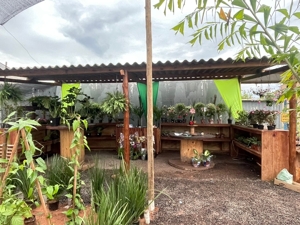 Em menos de um ano, o arquiteto Jailson de Oliveira Plácido abriu um segundo empreendimento, uma floricultura, em Ribas do Rio Pardo — Foto: Jailson de Oliveira Plácido/Arquivo Pessoal