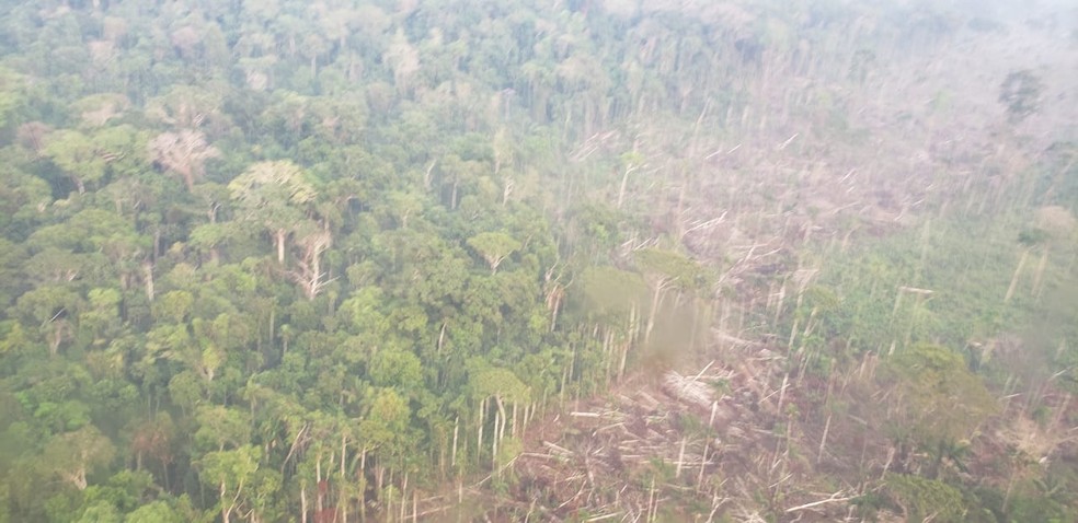 Área desmatada pelo grupo criminoso em Rondônia — Foto: PF/Divulgação
