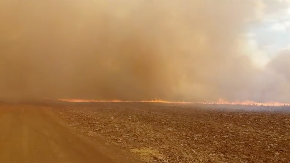 Incêndio atingiu áreas onde a lavoura de milho já tinha sido colhida por produtores, queimando a palhada que protegia o solo (Foto: Reprodução/G1 MS)