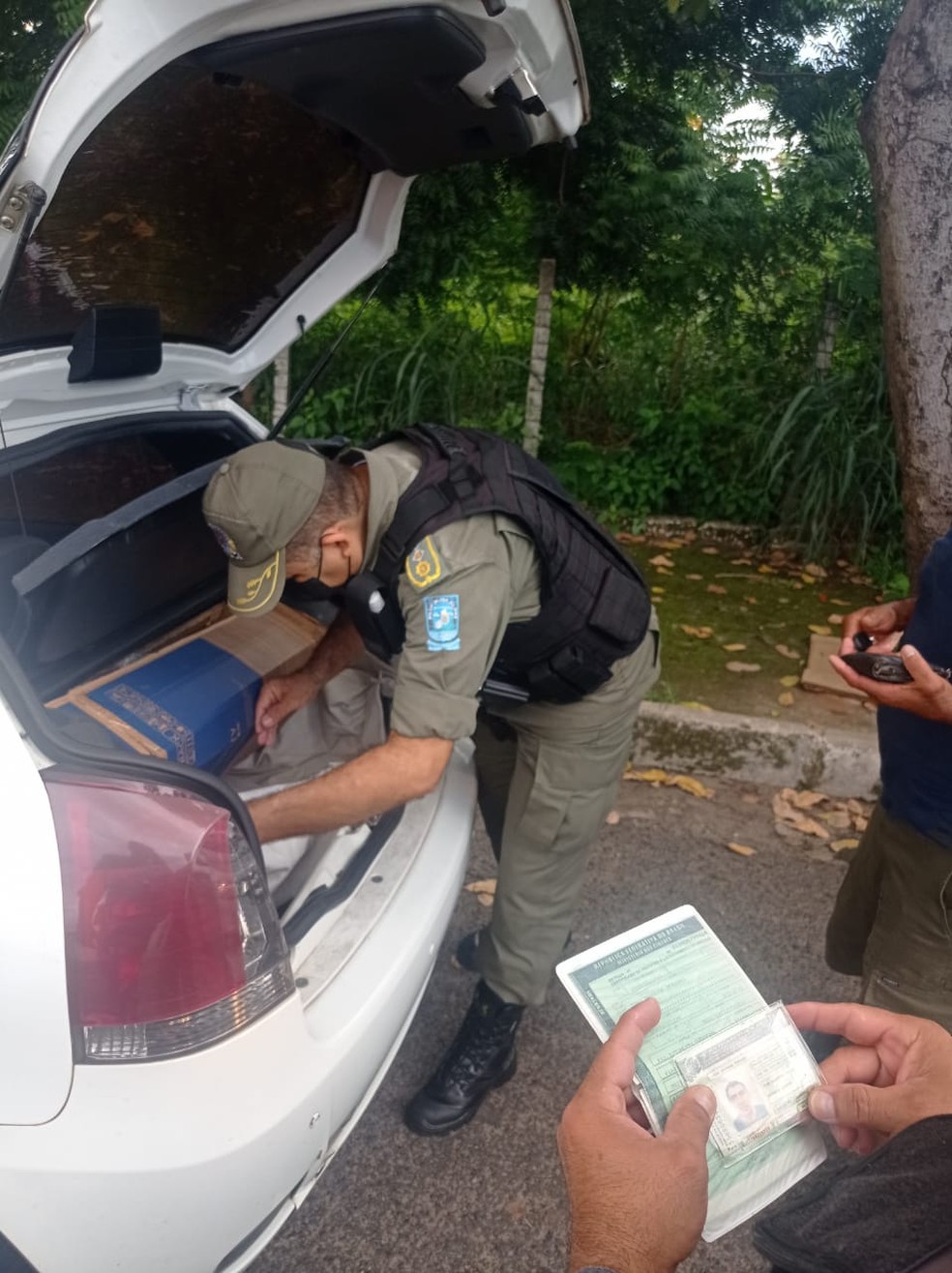 Condenado por estupro de vulnerável em São Paulo, idoso é preso no interior do Piauí  — Foto: Divulgação