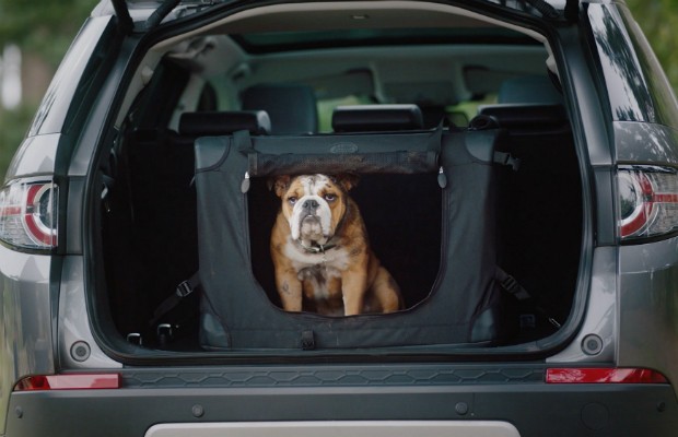 Land Rover lança pacotes de opcionais para animais de estimação (Foto: Divulgação)