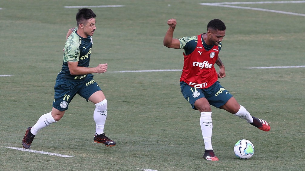 Vivo em três competições, Palmeiras retoma 