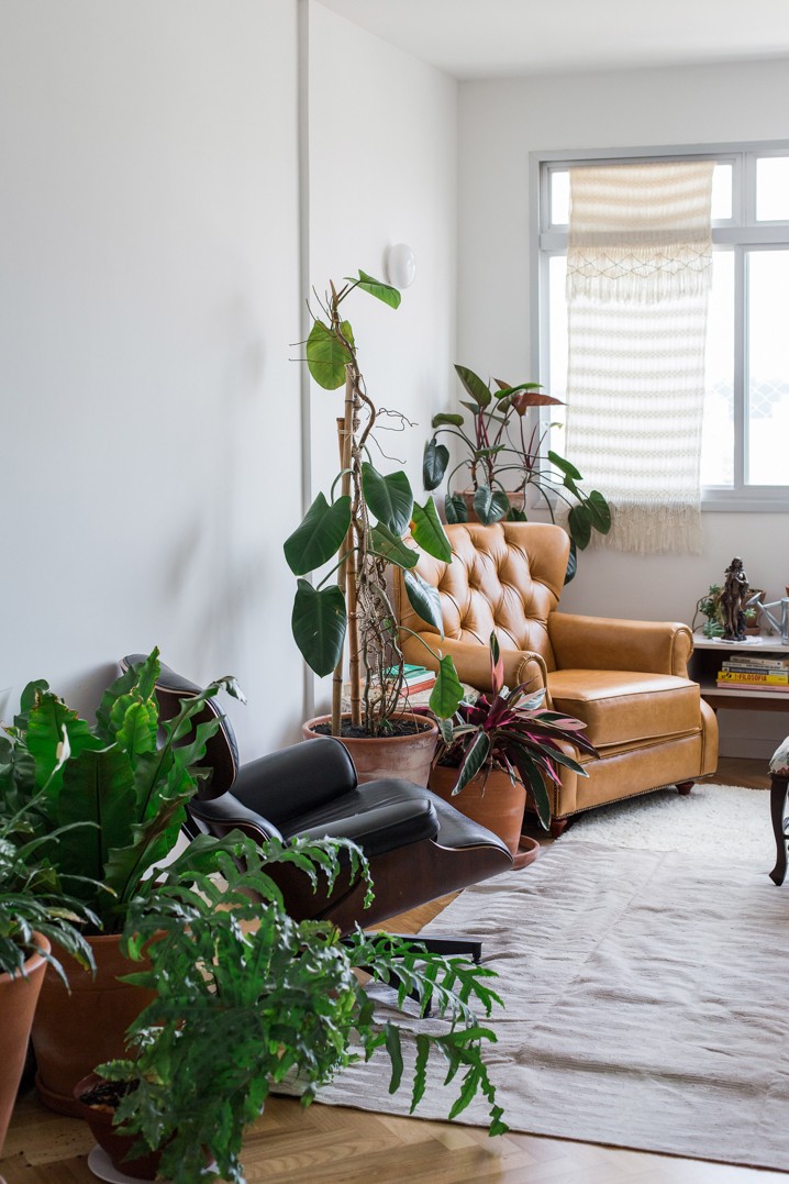 Décor do dia: plantas, tijolinhos e concreto aparente na sala de estar (Foto: Registro De Dia A Dia)