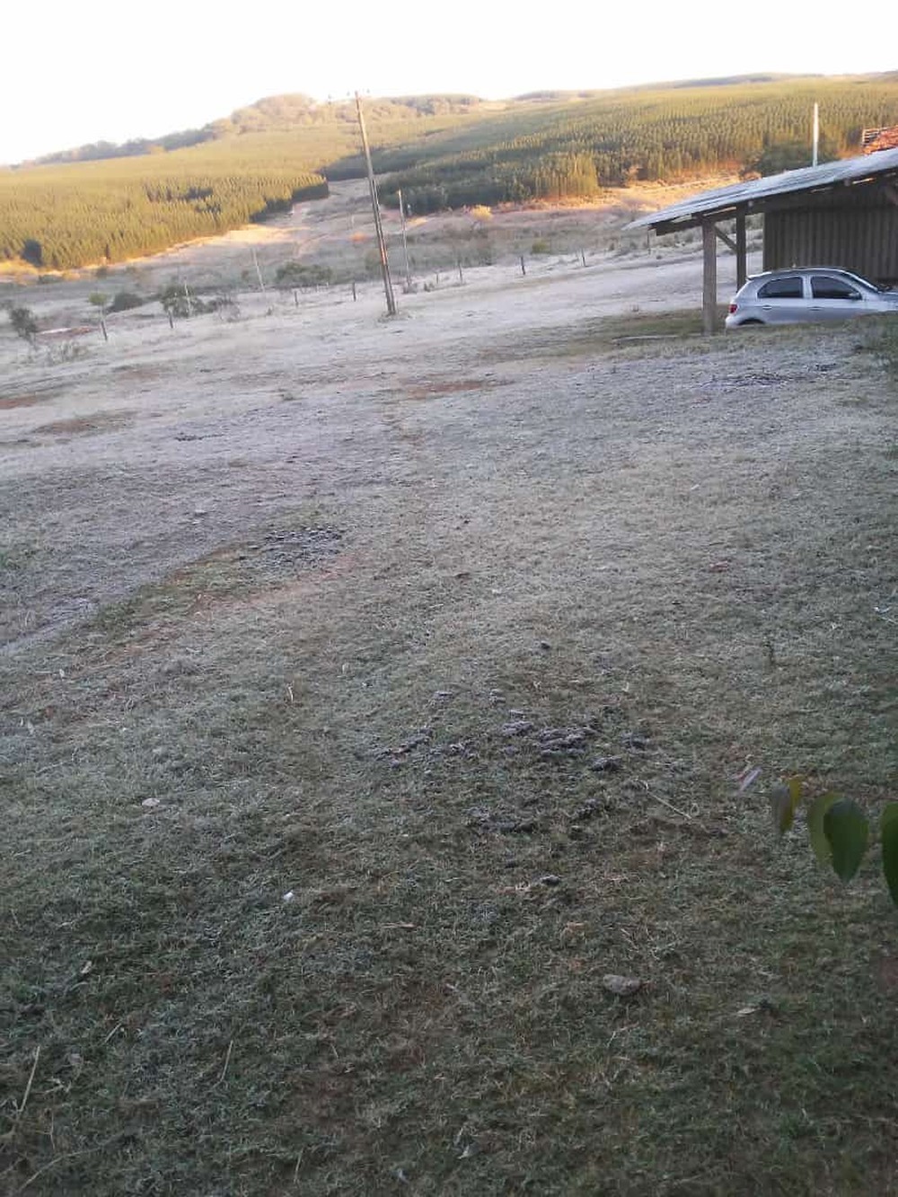 julio-mesquita-fazenda-santa-terezinha-a