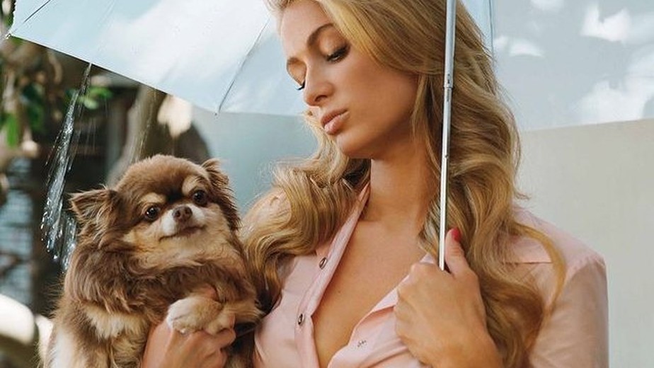 Paris Hilton lamenta morte de cachorrinha de estimação de 23 anos