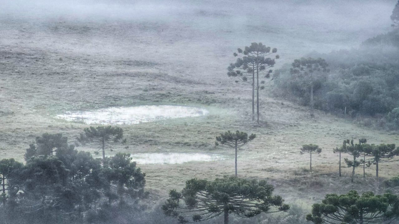 FOTOS: SC amanhece com geada e temperaturas abaixo de 5ºC