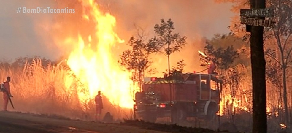 Fogo atinge matagal às margens da BR-153, no sul do estado — Foto: Reprodução/TV Anhanguera