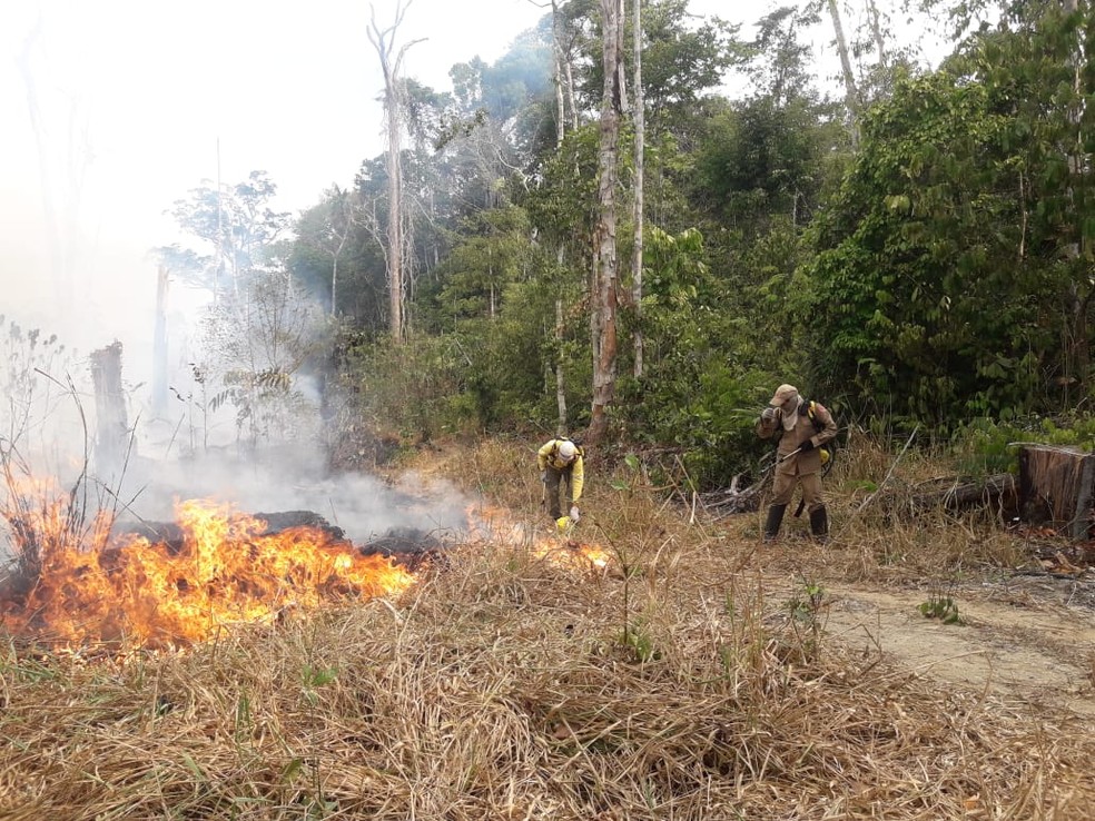 Militares atuam no combate de queimadas em RO â Foto: 17Âª Brigada/DivulgaÃ§Ã£o