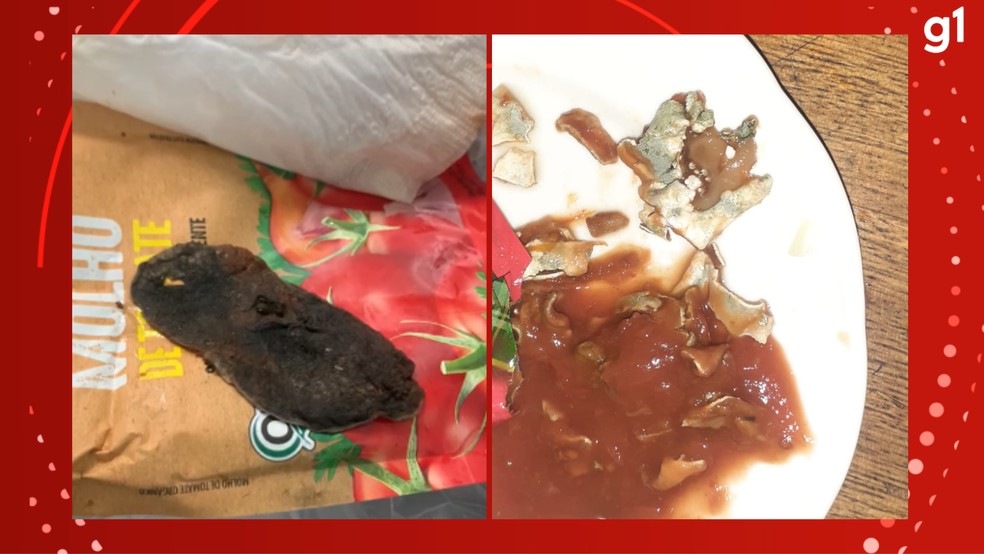 Consumidores mostram o que encontraram dentro de embalagens de molho de tomate no RS — Foto: Polícia Civil/Divulgação