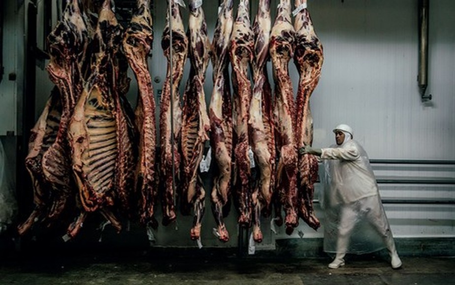 O embargo dos envios de carne bovina à China por um mês evitou que o resultado fosse melhor em 2023
