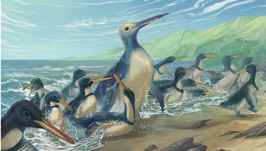 Representação ilustrada de 'Kumimanu fordycei' junto a pinguins de outras espécies