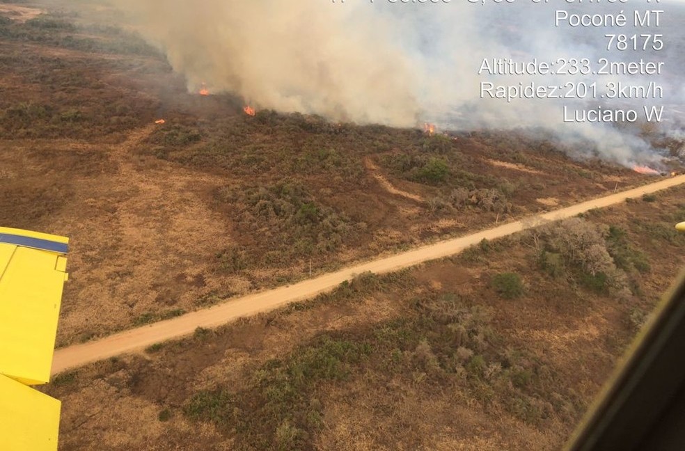 Bombeiros combatem incêndio no Pantanal em Mato Grosso  — Foto: Corpo de Bombeiros