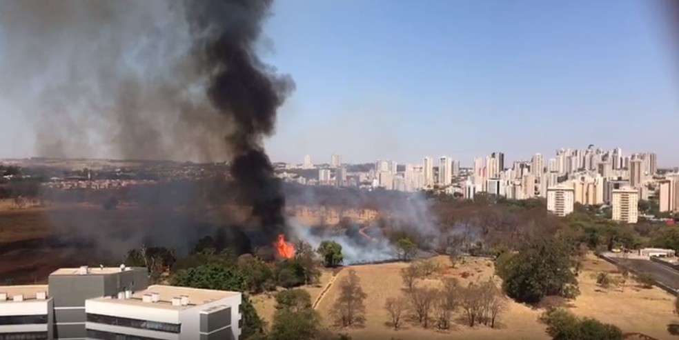 Incêndio atinge mata próxima a prédios na zona sul de Ribeirão Preto — Foto: Reprodução/Redes sociais