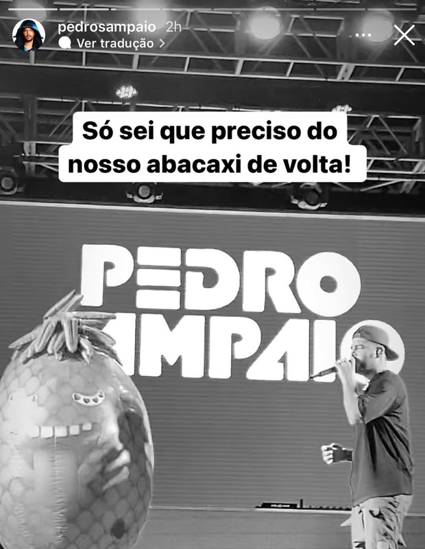 Pedro Sampaio perde fantasia de abacaxi (Foto: Reprodução/Instagram)