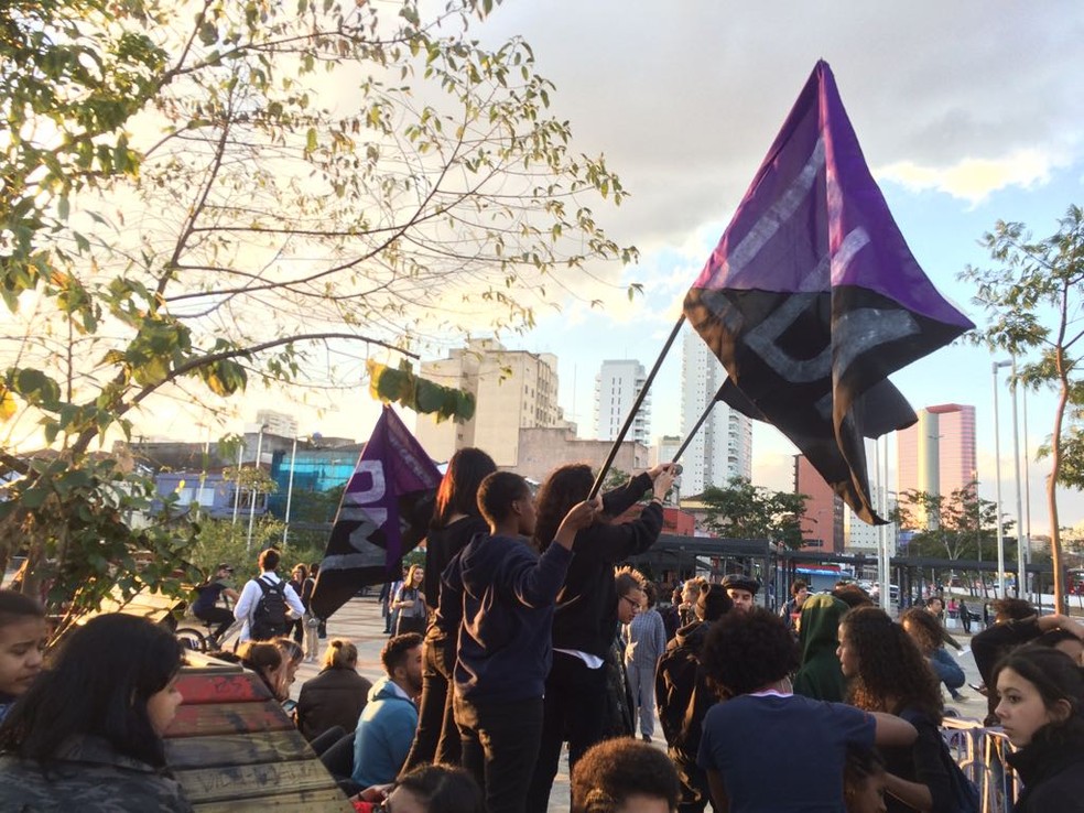 Manifestantes contrários ao novo modelo de passe livre estudantil protestam em SP (Foto: Vivian Reis/G1)