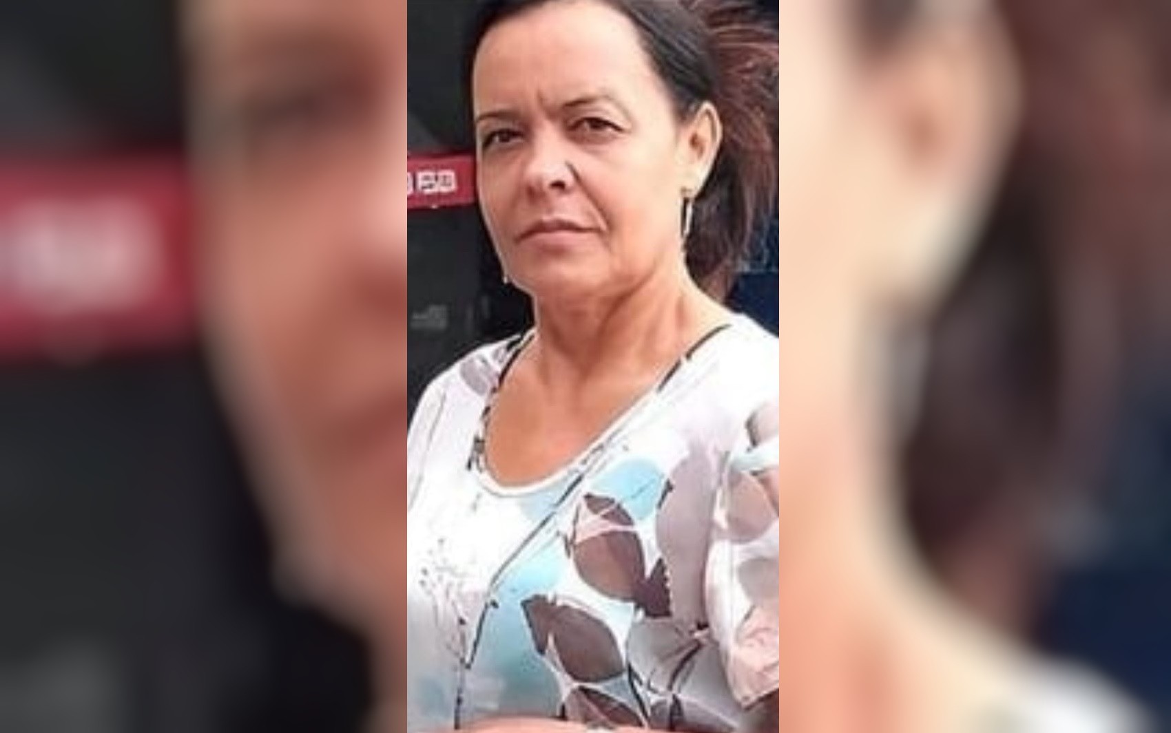 Mulher é morta pelo próprio cachorro após tentar separar briga com outro cão, diz polícia