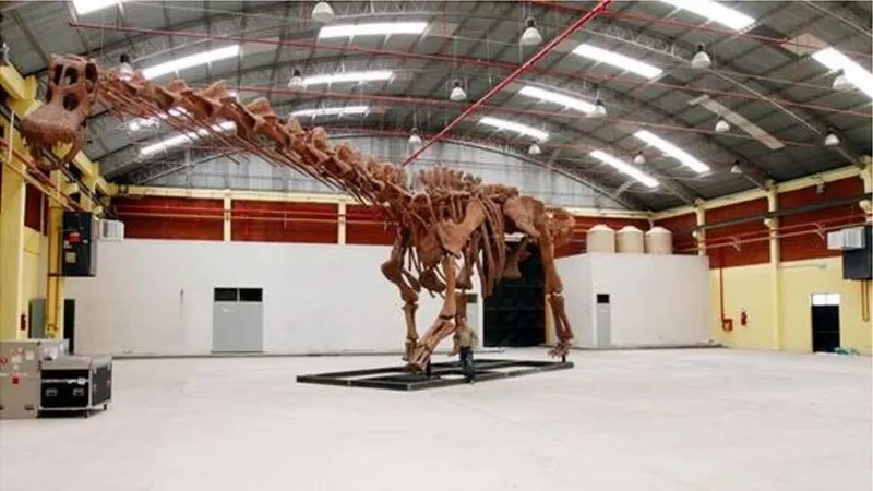 Ninguém sabe quais eram as posições sexuais dos maiores dinossauros. Alguns acham que eles simplesmente montavam uns sobre os outros - mas não se sabe ao certo como eles evitavam ser esmagados com o peso (Foto: Alamy via BBC News)