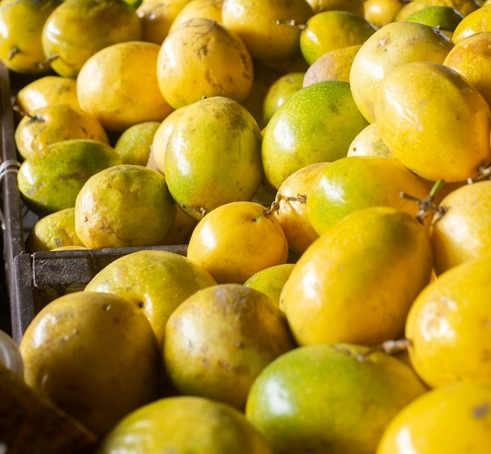 Maracujá fica 28,6% mais barato, saindo de R$ 4,20 para R$ 3,00/kg no atacado, na Ceasa Cariri. — Foto: Governo do Ceará/ Divulgação