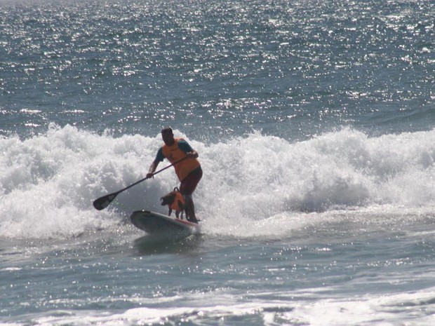 Parafina e Augusto fizeram bonito durante competição de surfe (Foto: Margarete Po / Divulgação)