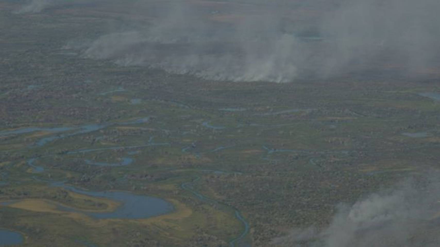 'Um cenário desolador e frustrante': 25 imagens que ilustram a tragédia no Pantanal thumbnail