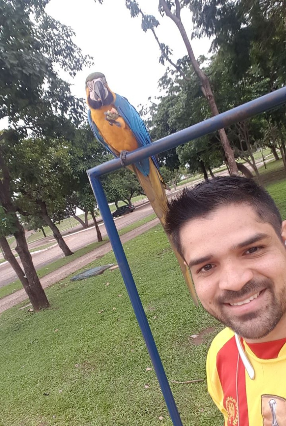 Leomir diz que ave aparece com frequência na praça dos Girassois (Foto: Arquivo Pessoal)