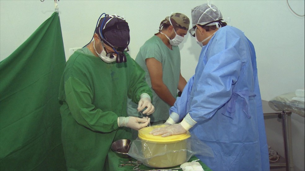 Médicos e enfermeiros de Bauru (SP) e da capital se mobilizaram para realizar o transporte (Foto: TV TEM/Reprodução)