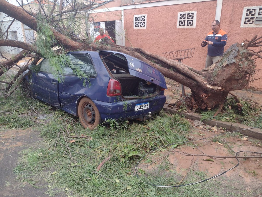 Temporal em Pirassununga provocou queda de árvore em cima de um carro  — Foto: Defesa Civil de Pirassununga