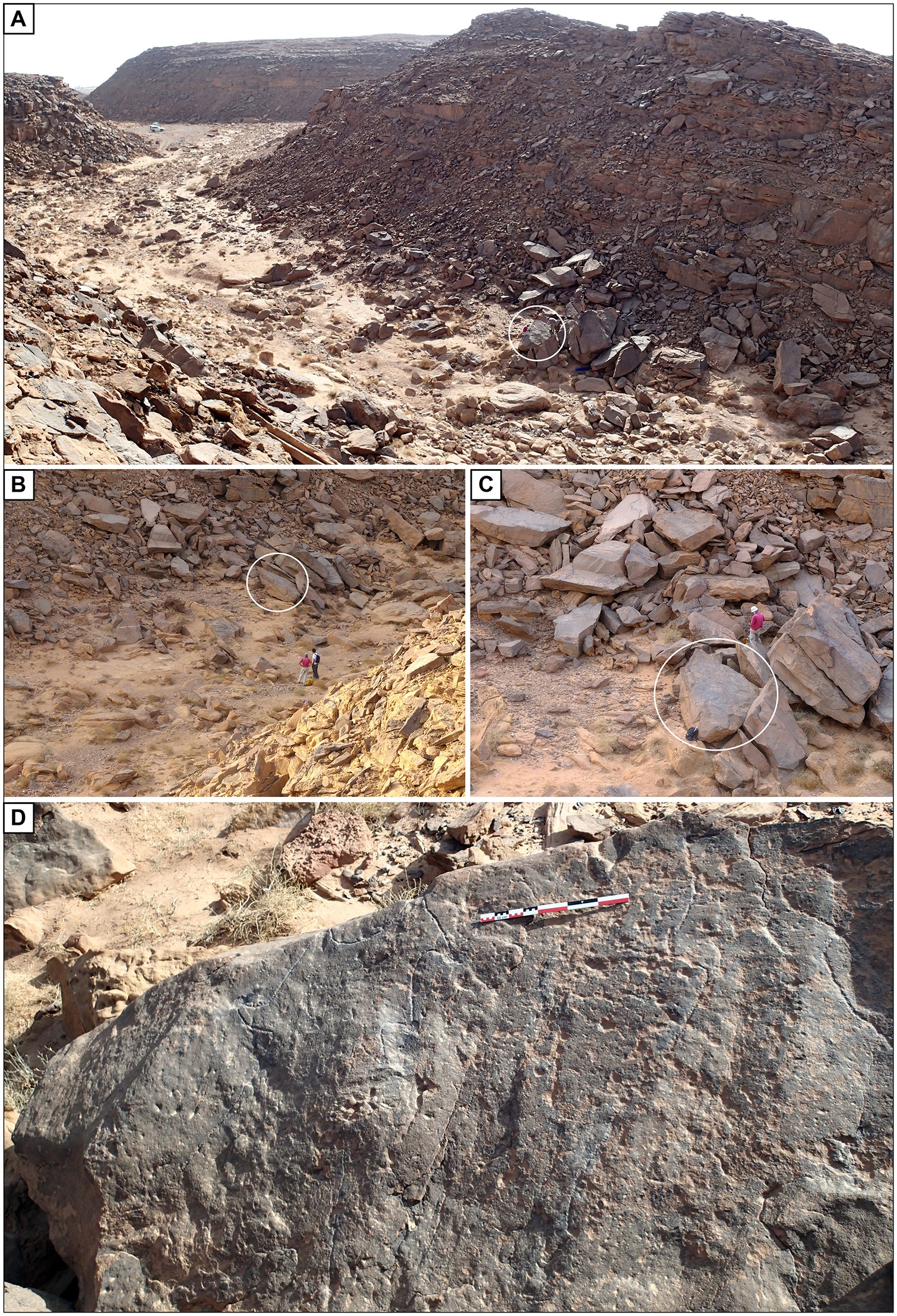 Localização da rocha gravada em Wadi az-Zilliyat, Arábia Saudita — Foto: Rémy Crassard et.al