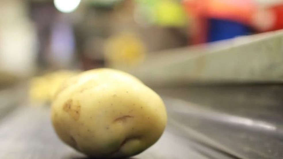 Fécula de batata e amido de milho podem se tornar copos descartáveis (Foto: Biome Bioplastics)