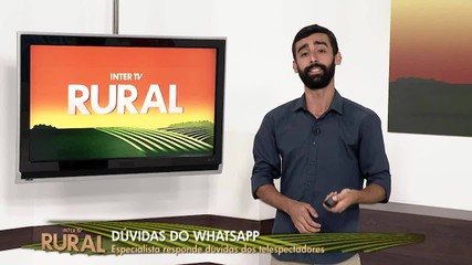 Globo Rural demora dois anos para tirar dúvida de telespectador · Notícias  da TV