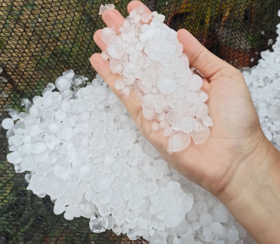 Chuva de granizo foi registrada em Martinópolis nesta segunda-feira (9) — Foto: Redes sociais 