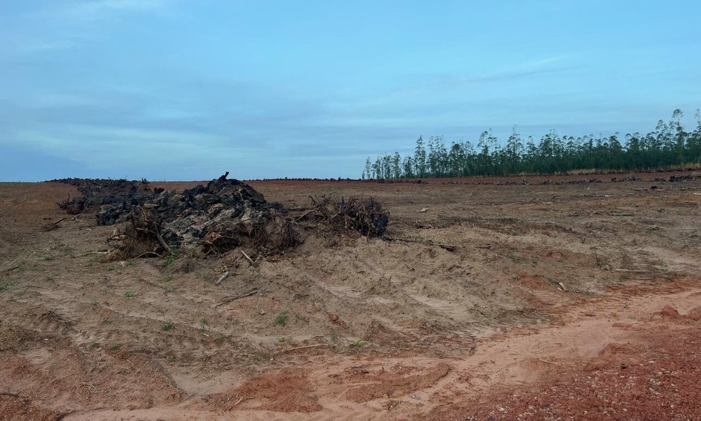 Material queimado em propriedade rural.  Foto: Reprodução/PMA