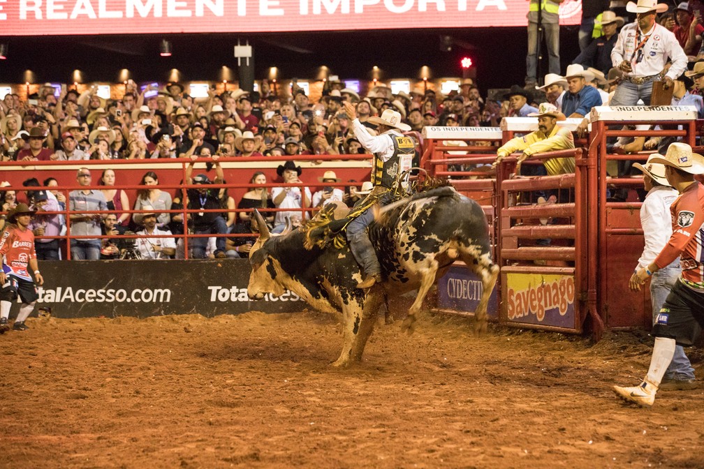 Barretos 2019: finais do Rodeio Internacional; FOTOS ...