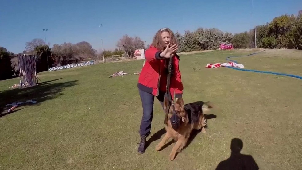 Cachorros que protegem mulheres de parceiros violentos na Espanha (Foto: ReproduÃ§Ã£o/ BBC)