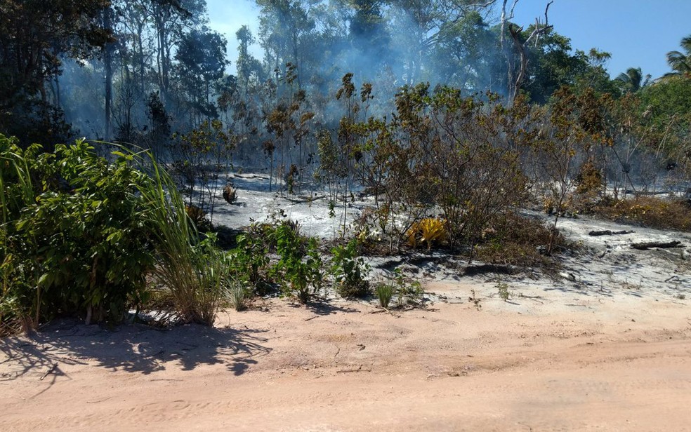 Incêndio atingiu mais de 4 km de extensão em Maraú (Foto: Divulgação/ Secretaria de Meio Ambiente)