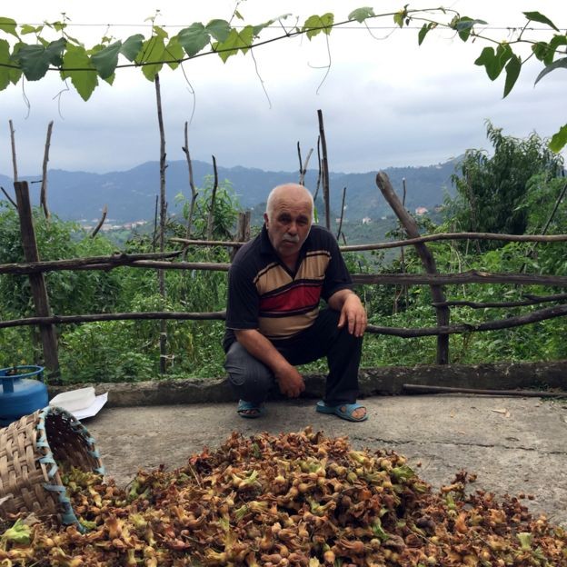 BBC: Kazim Yaman, fazendeiro do setor de avelãs (Foto: VIA BBC)