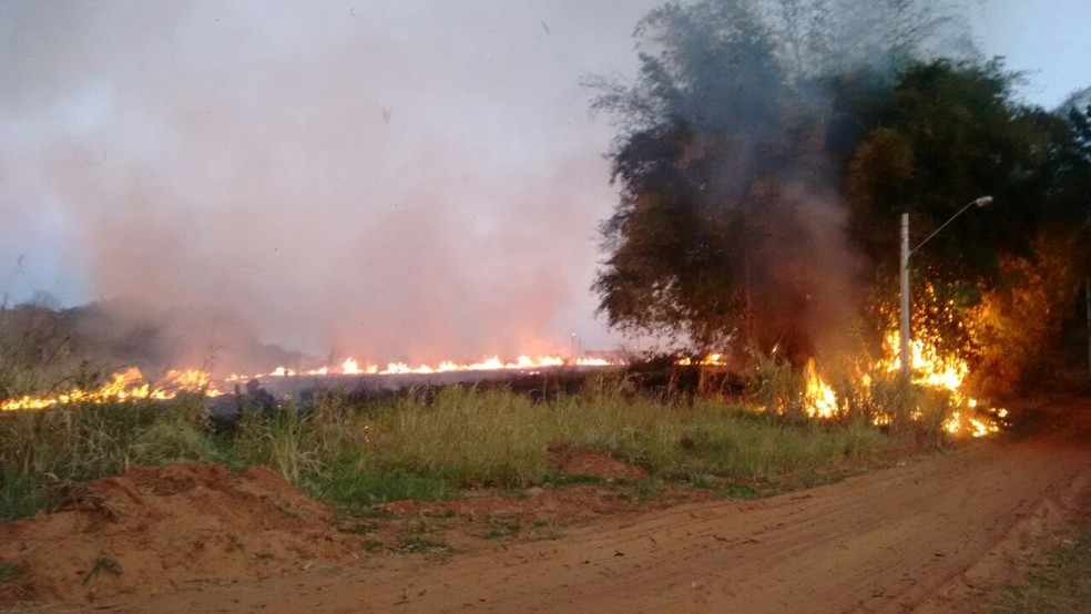 Incêndio atingiu área de pastagem (Foto: Base de Socorristas/Junqueirópolis)