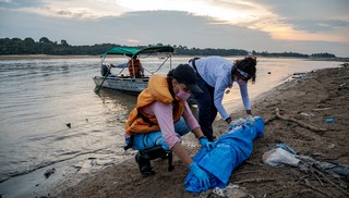 Em meio à seca na Amazônia, 110 botos são achados mortos no Lago Tefé (AM), aponta Instituto Mamirauá