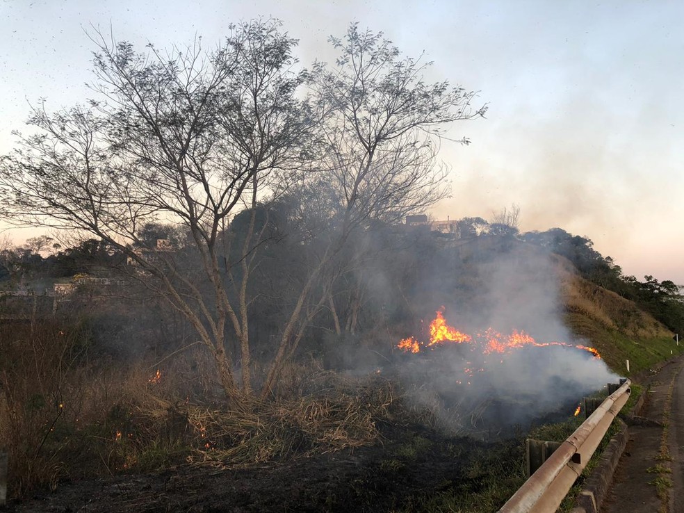 Incêndio teve início na vegetação às margens da BR-040 em Juiz de Fora — Foto: Bárbara Guimarães/G1