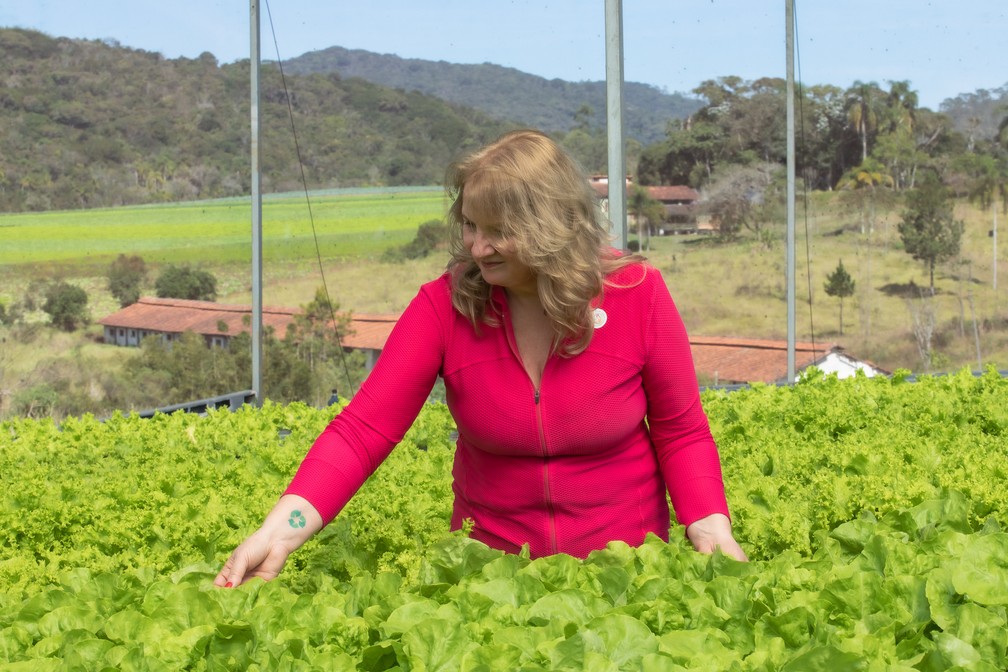 Simone Silotti tem plantação de hortaliças hidropônicas. — Foto: Celso Tavares / g1