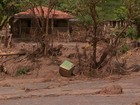 Produtores sofrem com prejuízos provocados pela lama em Mariana