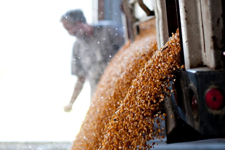 Descarregamento de milho nos EUA