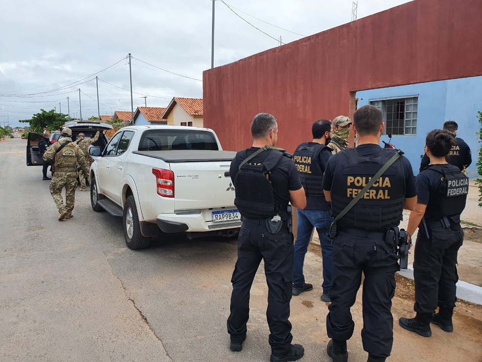 Força Integrada de Combate ao Crime Organizado de Mato Grosso (FICCO/MT) realiza a operação Parasita — Foto: Polícia Federal de Mato Grosso