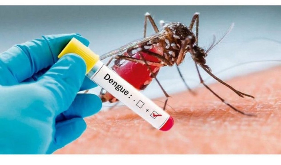Casos de dengue em MT tiveram um aumento de 158%— Foto: Divulgação