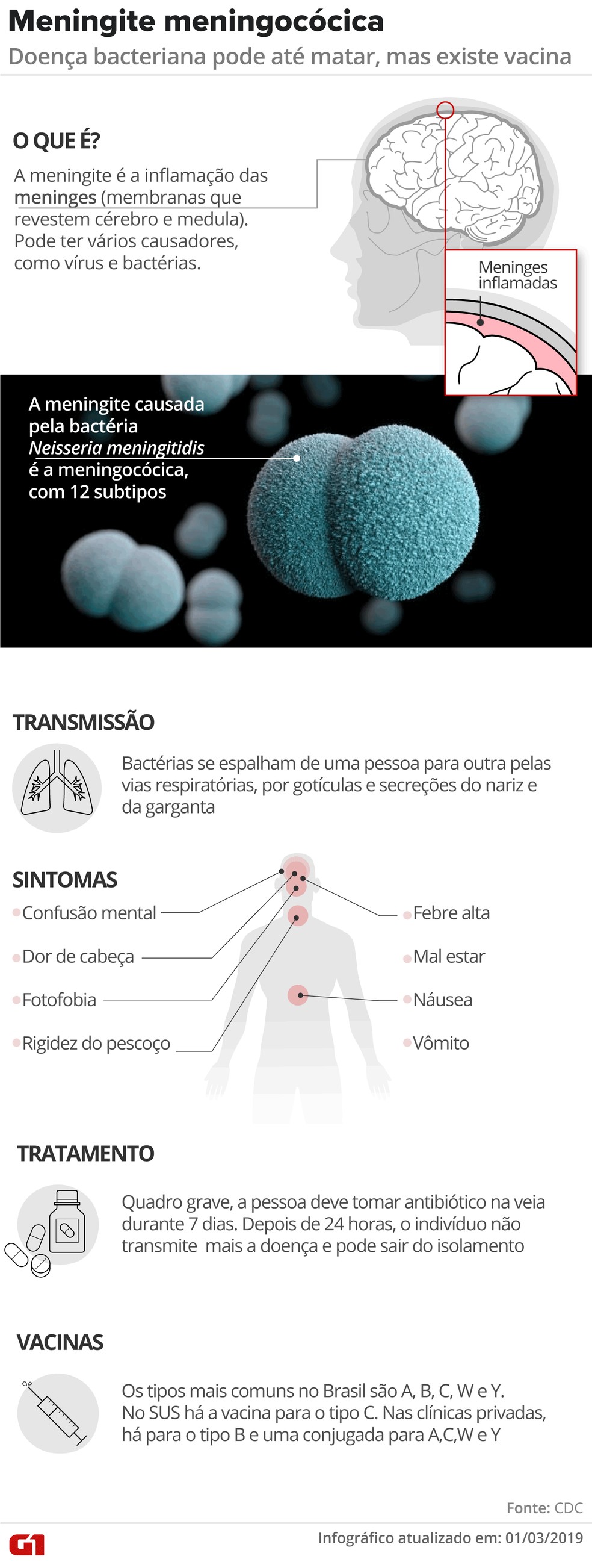Meningite meningocÃ³cica â€” Foto: Infografia: Igor Estrella/G1