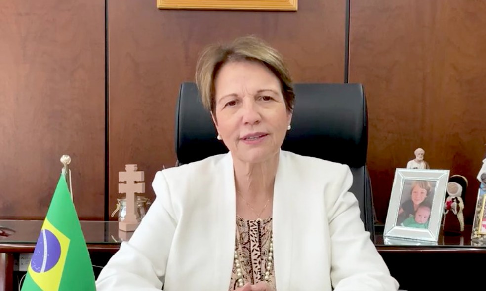 A ministra Tereza Cristina durante uma live em setembro de 2020 — Foto: Reprodução