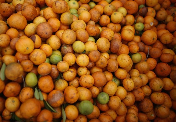 laranja, greening, agronegócio,  (Foto: Joe Raedle/Getty Images)