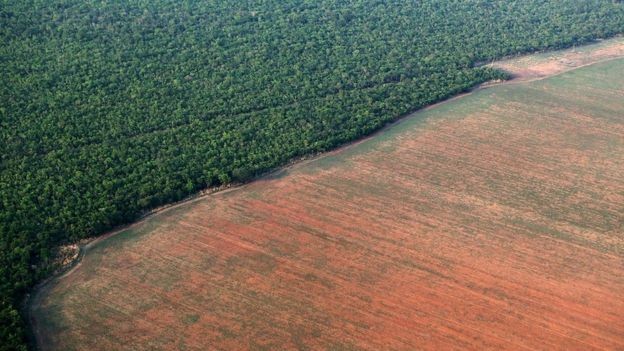 O desmatamento da Amazônia é um dos pontos que deve ser debatido nos próximos eventos sobre mudanças climáticas (Foto: PAULO WHITAKER/REUTERS VIA BBC)