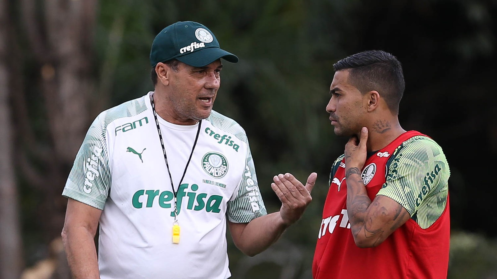 Destinos cruzados: veja como um jogo do Palmeiras une as histórias de Dudu e Luxemburgo